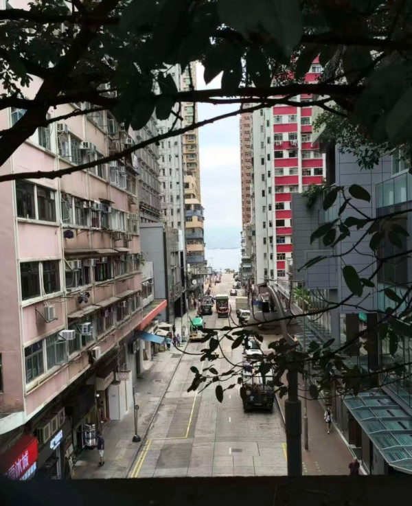 内地女游港半日败走！狠批2大死穴体验零分 网友教1招深度游反击