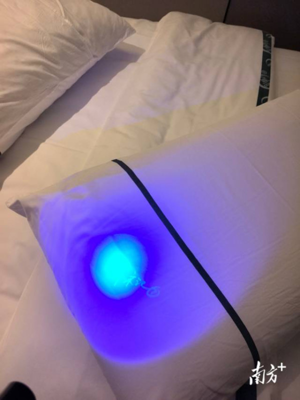 圖片來源:南方+ 圖片來源:南方+