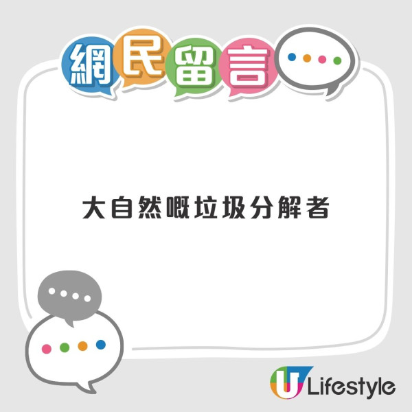 潮湿虫︱屋外观现大量“甲壳肥虫”狂蠕动！猫奴吓惊急发帖求救 网友急制止：是神级益虫