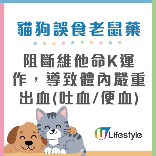 潮湿虫︱屋外观现大量“甲壳肥虫”狂蠕动！猫奴吓惊急发帖求救 网友急制止：是神级益虫