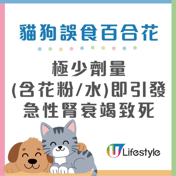 潮湿虫︱屋外观现大量“甲壳肥虫”狂蠕动！猫奴吓惊急发帖求救 网友急制止：是神级益虫