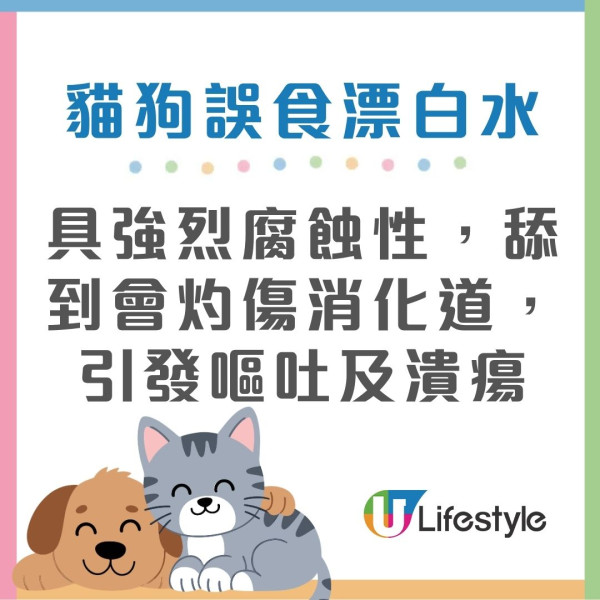 潮湿虫︱屋外观现大量“甲壳肥虫”狂蠕动！猫奴吓惊急发帖求救 网友急制止：是神级益虫