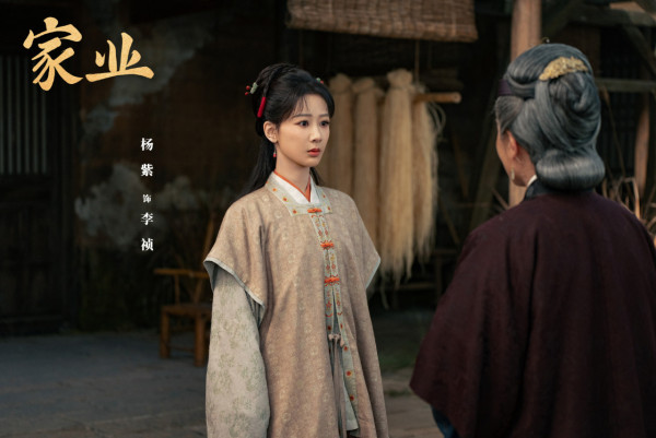 陸劇家業線上看｜楊紫再演商戰大女主劇情3大看點+演員陣容/追劇日曆