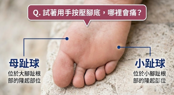 圖片資料來源：《女性セブンプラス》、Gemini AI