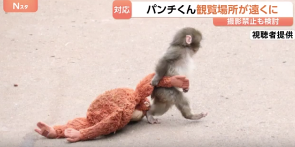 照片來源：TBS NEWS DIG