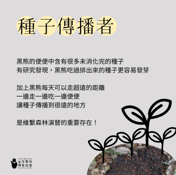 照片來源：台灣黑熊保育協會