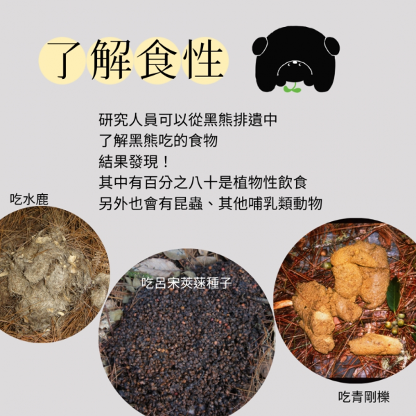 照片來源：台灣黑熊保育協會