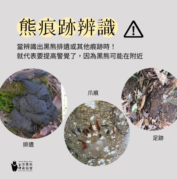 照片來源：台灣黑熊保育協會