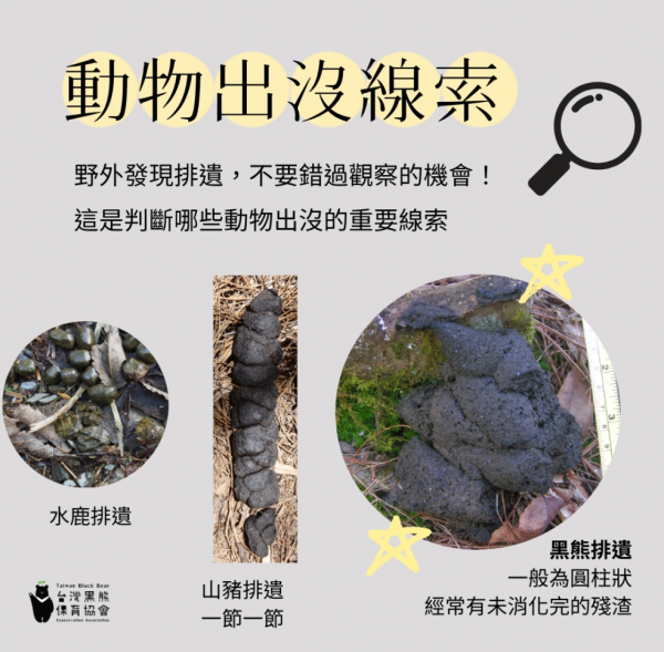 照片來源：台灣黑熊保育協會