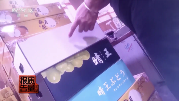 照片來源:CCTV 新聞 照片來源:CCTV 新聞
