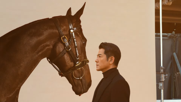 郭富城愛駒「舞林密碼」驚傳離世噩耗  曾奪4場頭馬吸金逾1240萬