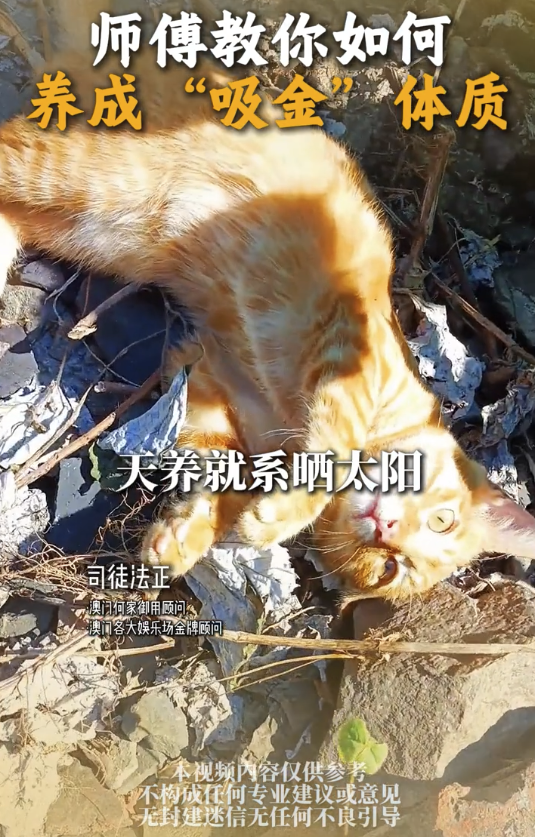 5个习惯养成“吸金体质”｜5. 养好自己的能量场。图片来源：小红书@司徒法正