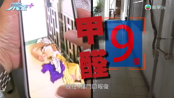 北角業主每星期狂噴甲醛只因一件事 主持即場開水喉10分鐘揭發漏水真相