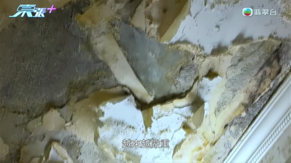 北角業主每星期狂噴甲醛只因一件事 主持即場開水喉10分鐘揭發漏水真相