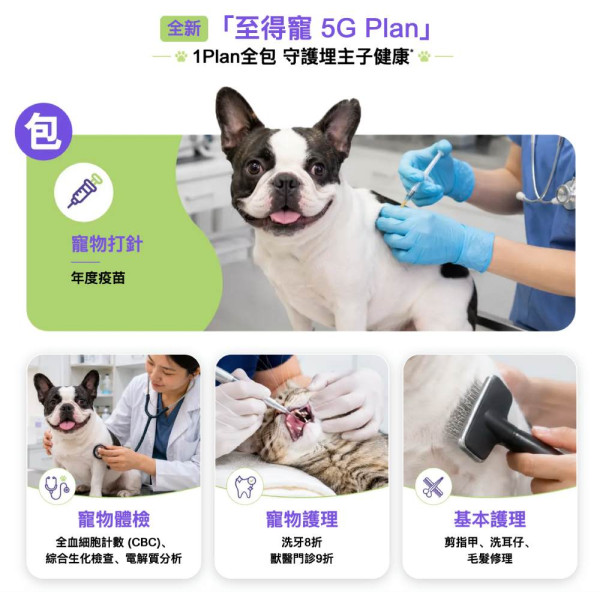 月費 $398 包 150GB 再送 $11,900 寵物醫療及禮品！3 香港「至得寵」Plan 實算：包體檢、免費打針 貓奴狗主超划算？