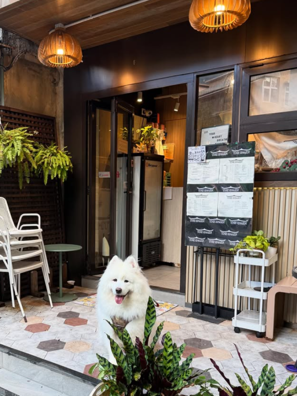 馬灣好去處2026︱馬灣一日遊10大景點+美食路線推介!日系家庭小屋cafe/簡易遠足行程