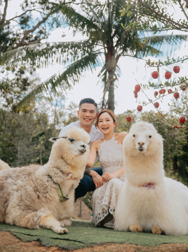 41歲李綺雯延婚5年終大婚出嫁！嫁星級教練老公維港完婚 打破傳統只穿3套禮服
