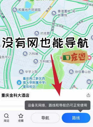 照片來源：小紅書@内分肽玩家