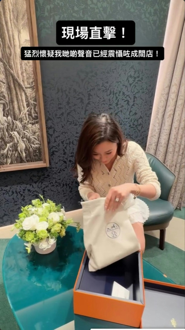 TVB人妻炫富晒70萬「藍盒子」超限量愛馬仕!一屋名牌手袋冇晒目標︰唔知買咩
