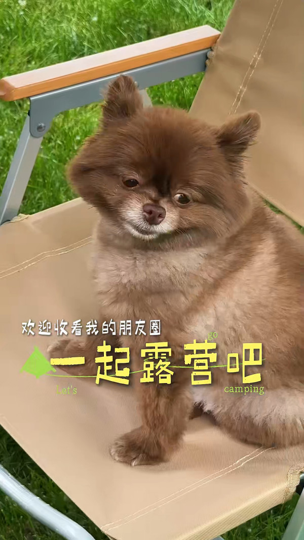 阿嬌激罕曝光奢華頂級豪宅內貌！花園草坪如自家森林 巨型院子未算最誇張