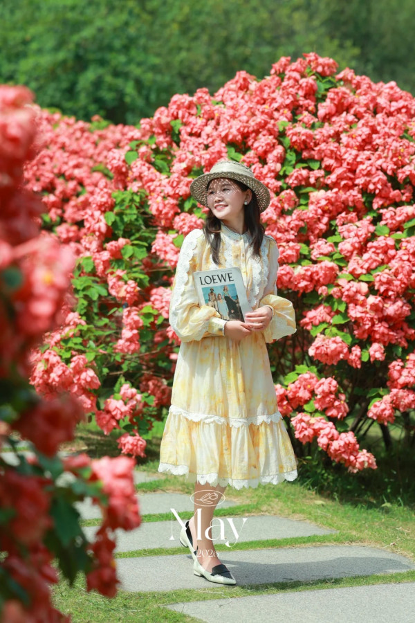 圖為5月25日拍攝,圖片來源:小紅書@Eco 深圳南山區追風滑輪公園粉紙扇花海盛開!免門票隱藏版秘境 附賞花打卡攻略、地鐵交通