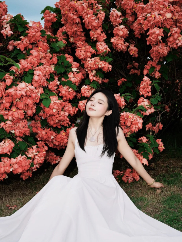 圖為5月26日拍攝,圖片來源:小紅書@脆皮lulu 深圳南山區追風滑輪公園粉紙扇花海盛開!免門票隱藏版秘境 附賞花打卡攻略、地鐵交通