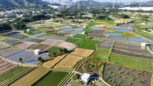 塱原自然生態公園 (圖片來源:新聞公報)