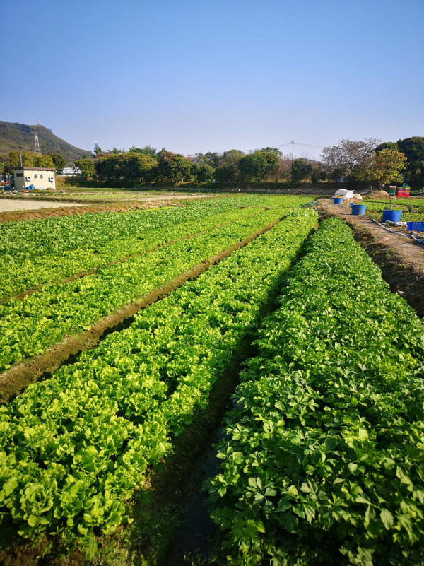 塱原自然生態公園 (圖片來源:新聞公報)