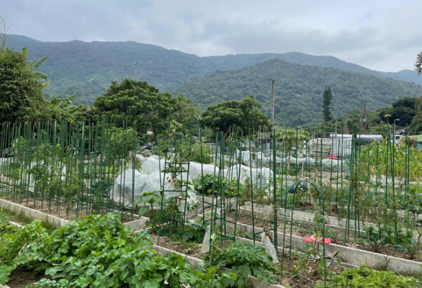 大埔新西蘭有機農莊(圖片來源︰大埔新西蘭有機農莊官網)
