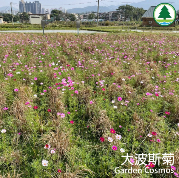 塱原自然生態公園 (圖片來源:塱原自然生態公園Instagram)