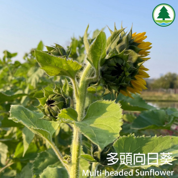塱原自然生態公園 (圖片來源:塱原自然生態公園Instagram)