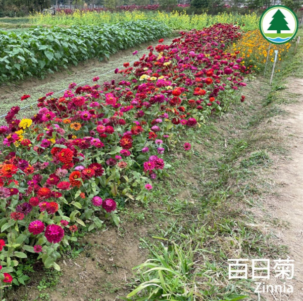 塱原自然生態公園 (圖片來源:塱原自然生態公園Instagram)