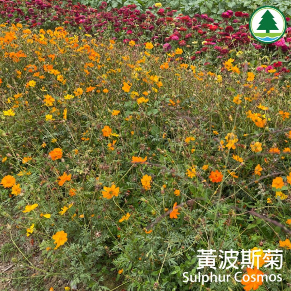 塱原自然生態公園 (圖片來源:塱原自然生態公園Instagram)