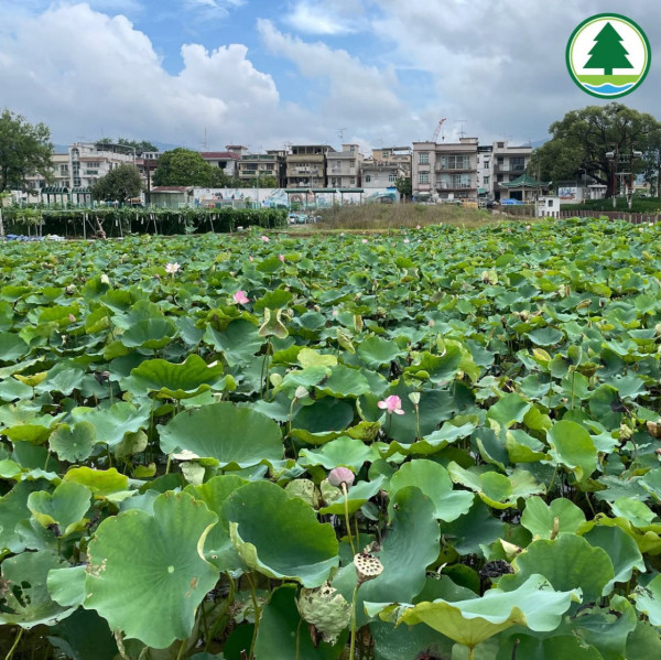 塱原自然生態公園 (圖片來源:塱原自然生態公園Instagram)