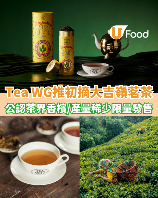 Tea WG推出初摘大吉嶺茗茶 茶界香檳/產量稀少限量發售