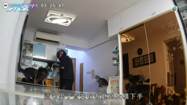 假外卖员凌晨按密码入屋偷走百万名表爱马仕包！受害港女公开CCTV指控前男友设局爆窃
