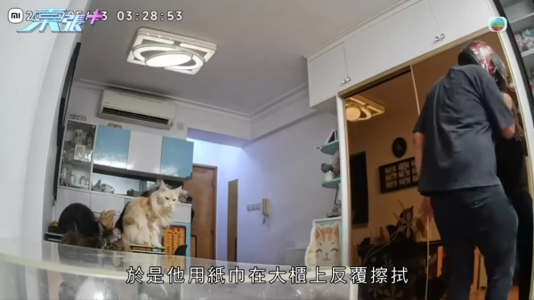 假外卖员凌晨按密码入屋偷走百万名表爱马仕包！受害港女公开CCTV指控前男友设局爆窃