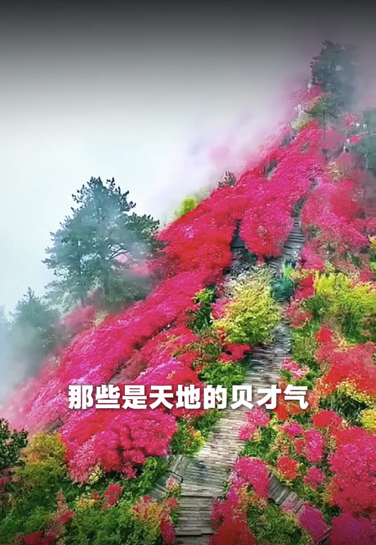 唐碧霞公開5大發達徵兆 - 3. 手指偶爾輕微顫抖發麻。圖片來源：小紅書