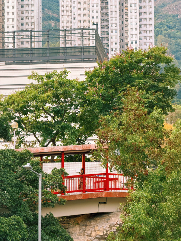 港版千与千寻？黄大仙惊现“隐世油屋”网友：连红色桥都有