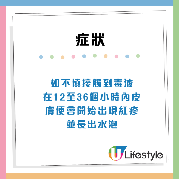 隐翅虫皮肤炎症状（来源：食环署防治虫鼠简讯） 