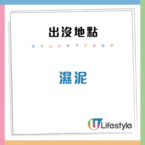 隐翅虫出没地点（来源：HKET）