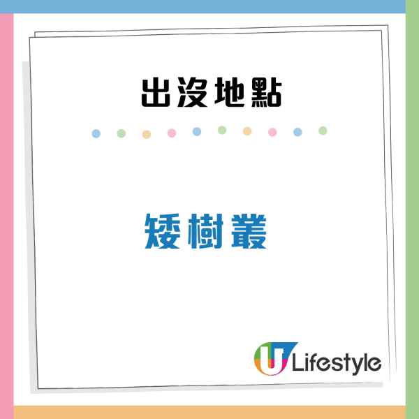 隐翅虫出没地点（来源：HKET）