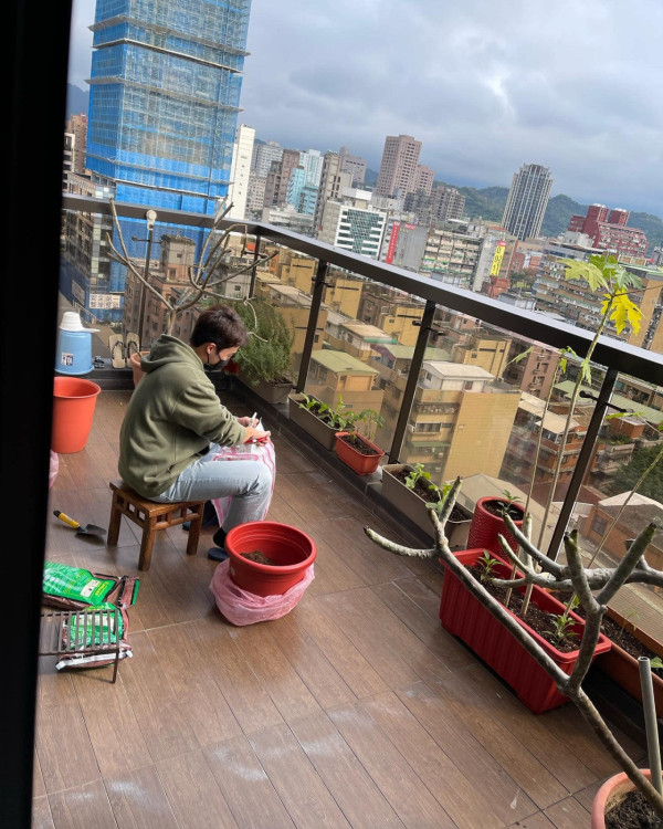 失眠救星︱不靠安眠药！台湾女星私藏“平民助眠神器”大公开！床头放一种常见香料秒速入睡！实测：抗焦虑+天然镇痛