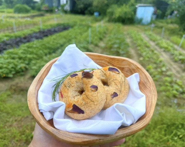 歐羅有機農場（來源：歐羅有機農場Facebook）