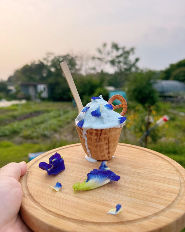 歐羅有機農場（來源：歐羅有機農場Facebook）