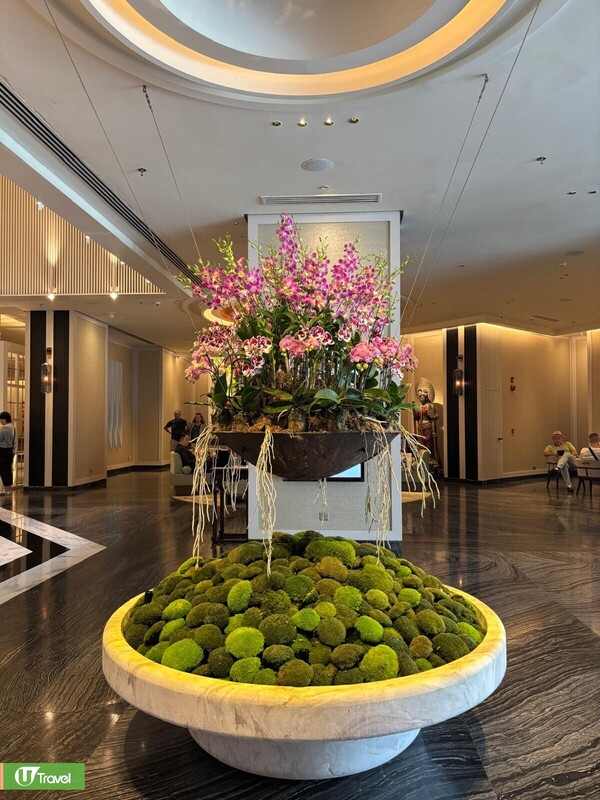 新加坡酒店5大高質住宿推介！近MRT、大型商場/奢華打卡/簡約風超值之選 