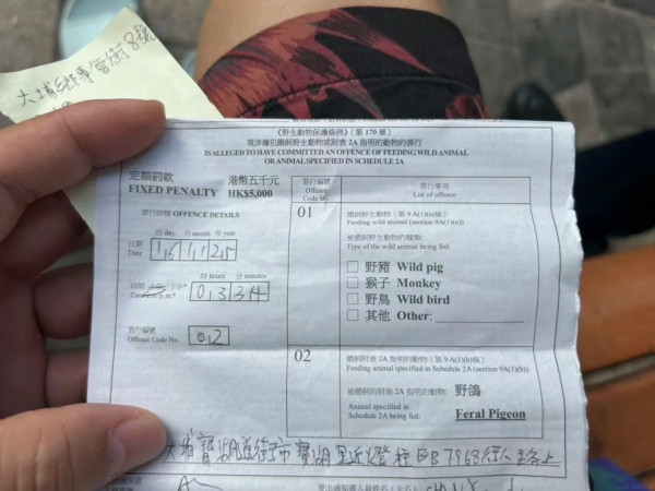 喂野鸽被罚$5000！内地女游港踩雷崩溃控诉！网友掀中港文化差异论战：顺手喂一下很正常