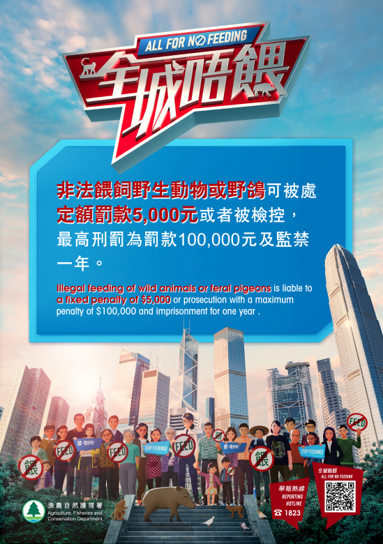 喂野鸽被罚$5000！内地女游港踩雷崩溃控诉！网友掀中港文化差异论战：顺手喂一下很正常