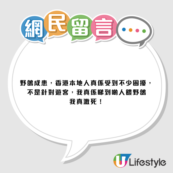 喂野鸽被罚$5000！内地女游港踩雷崩溃控诉！网友掀中港文化差异论战：顺手喂一下很正常