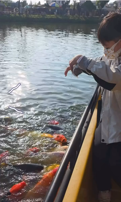 【亲子好去处2026】香港8大亲子农庄 喂食草泥马／向日葵花海／自家制农场牛奶